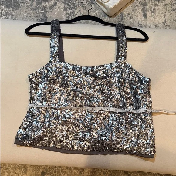 Abercrombie and Fitch Silver Sequin Crop Tank - Picture 3 of 6